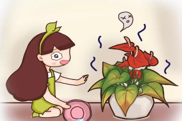 夏天的花一晒就干学会一招叶子立马水灵灵！(花晒干了还能活吗)