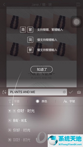 简拼使用教程(简拼怎么打字)