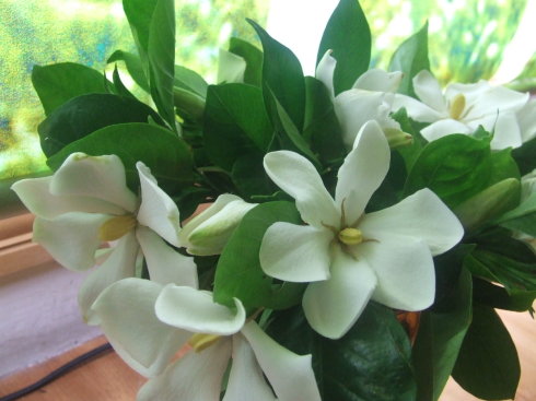 毕业应该送什么花花束给同学