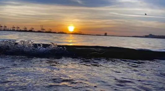 2023年深圳一般几月份到真正的冬天深圳冬天几月到几月(深圳冬天从什么时候开始)