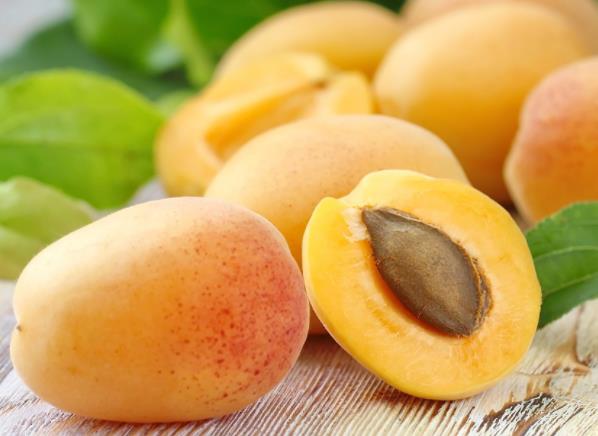 杏子可以做成罐头吗杏子怎么做罐头(杏子能做罐头怎么做)