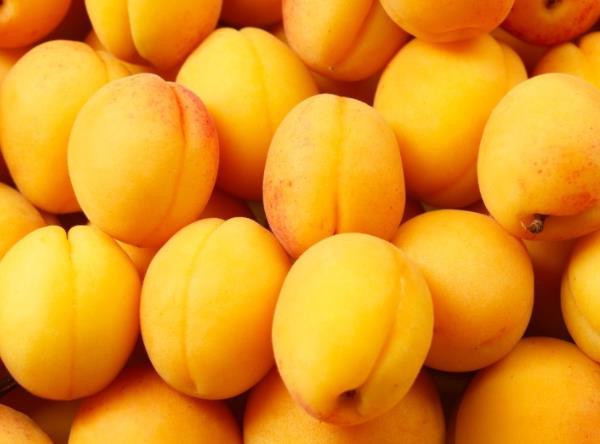 杏子能做罐头怎么做