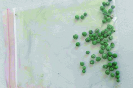 铜钱草养多久会开花花