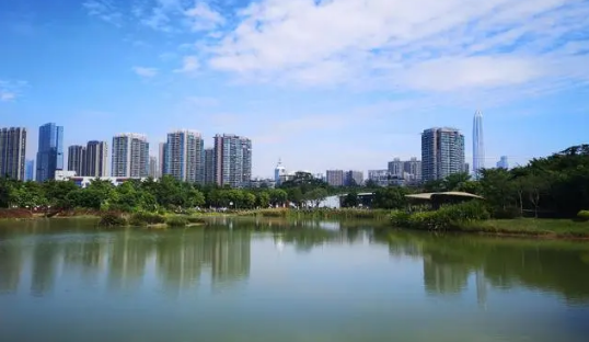 深圳冬天从什么时候开始