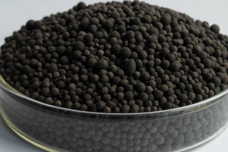 常州紫荆公园月季花什么时候开