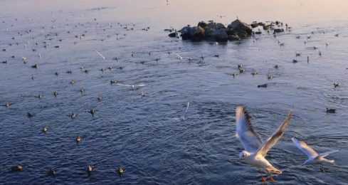 深圳冬天从什么时候开始