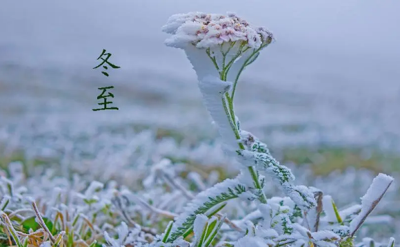 2023年冬至是黄道吉日吗2023年冬至是好日子吗(2023冬至是几月几)