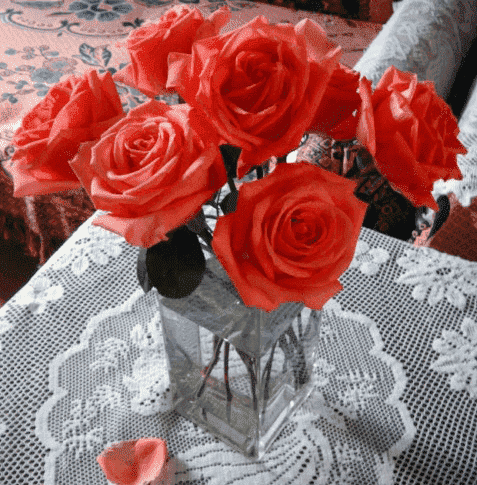 玫瑰花怎么延长保鲜期