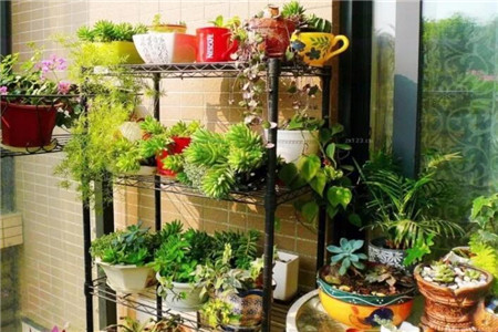 娶了爱养花的女人你就等着幸福吧什么意思