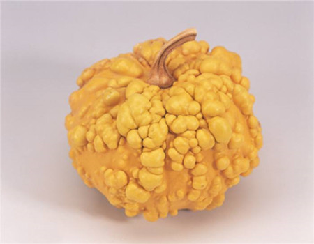 观赏南瓜种类有哪些图片