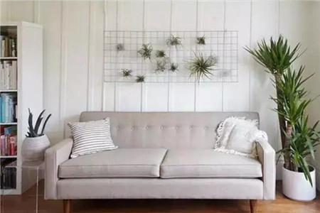 娶了爱养花的女人你就等着幸福吧什么意思