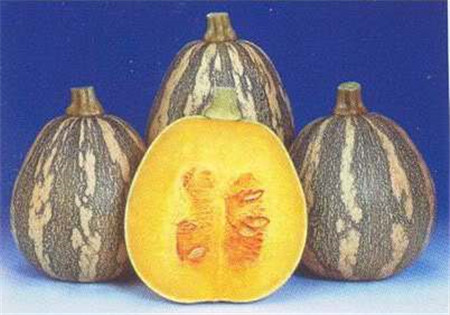 观赏南瓜种类有哪些图片