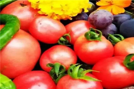 娶了爱养花的女人你就等着幸福吧什么意思