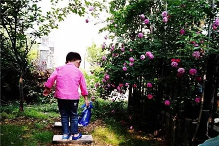 娶了爱养花的女人你就等着幸福吧什么意思