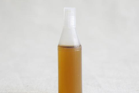 荷花竹怎么养殖方法