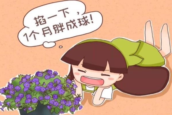 给三角梅剪几刀1年爆3次各个都是大花球！(三角梅怎么剪枝修理)