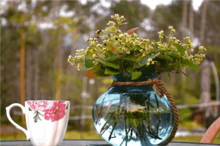 娶了爱养花的女人你就等着幸福吧什么意思