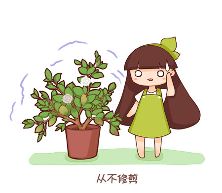 切记人像摄影关节不能裁切