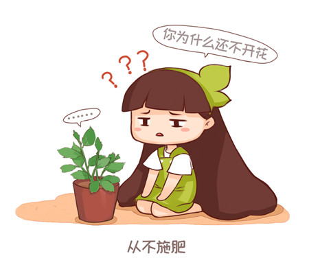 切记人像摄影关节不能裁切