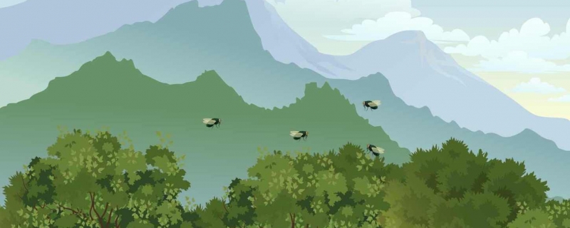 为什么苍蝇很难打到为什么苍蝇老是往人身上飞(为什么苍蝇永远打不完)