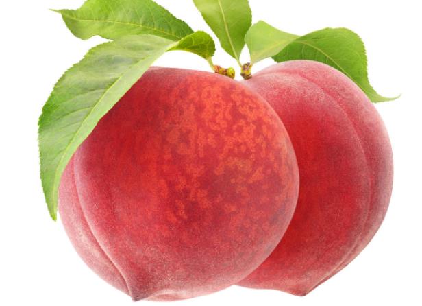 桃子和西瓜一起吃会中毒吗食物变质农药没洗干净(桃子和西瓜一起吃会不会中毒)