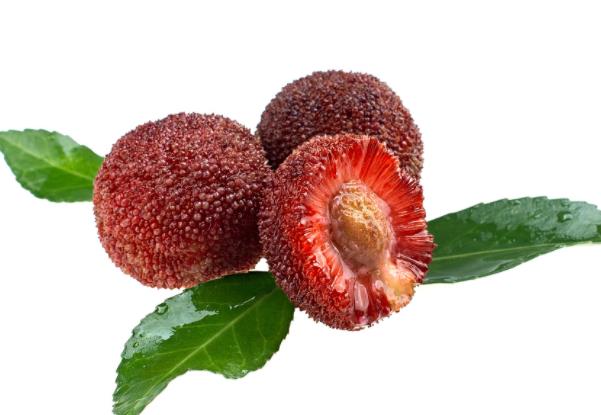 杨梅吃了升糖吗