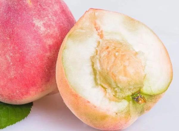 桃子和西瓜一起吃会不会中毒