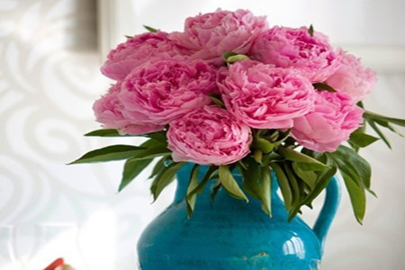 芍药插花怎么养护