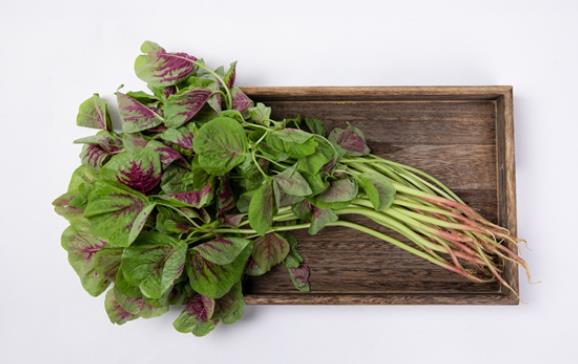 红苋菜水煮后变绿