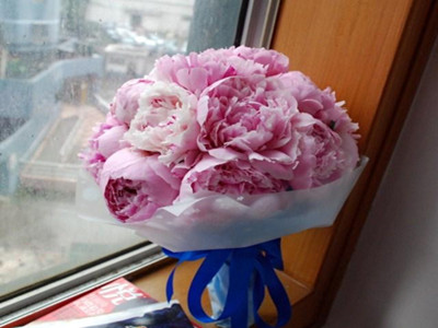 芍药插花怎么养护