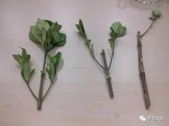 该花的钱一分不能少