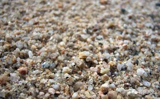 该花的钱一分不能少