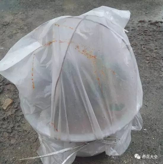 该花的钱一分不能少