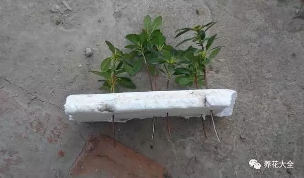 该花的钱一分不能少