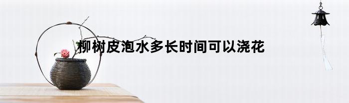 柳树皮泡水多长时间可以浇花(柳树皮泡水多长时间可以浇花了)