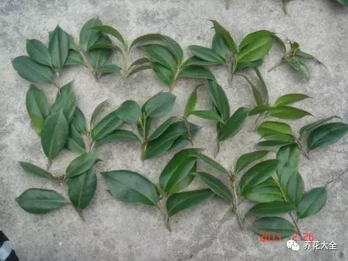 该花的钱一分不能少