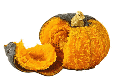 南瓜和北瓜是一样的东西吗