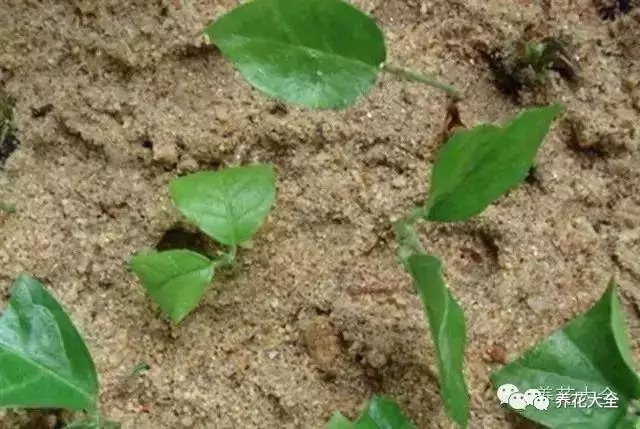 该花的钱一分不能少