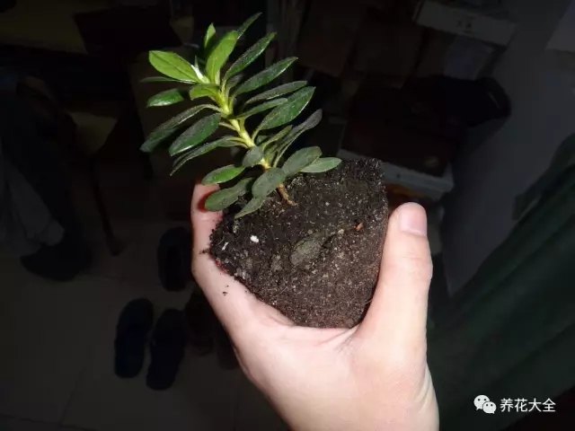 该花的钱一分不能少