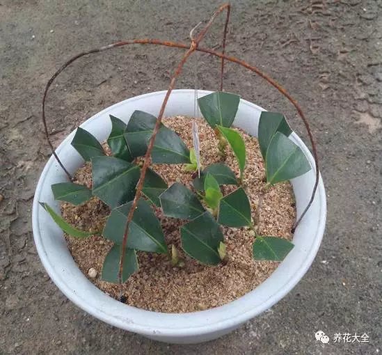 该花的钱一分不能少