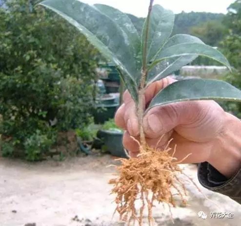 该花的钱一分不能少