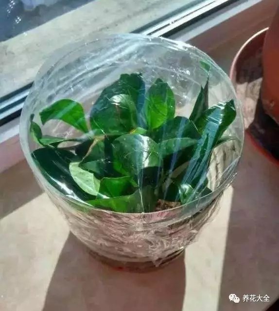 该花的钱一分不能少