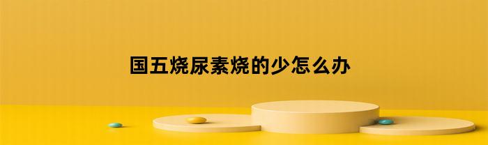 国5车烧尿素快的好还是慢点的好