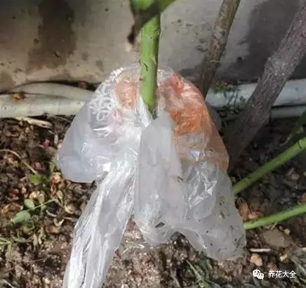 该花的钱一分不能少