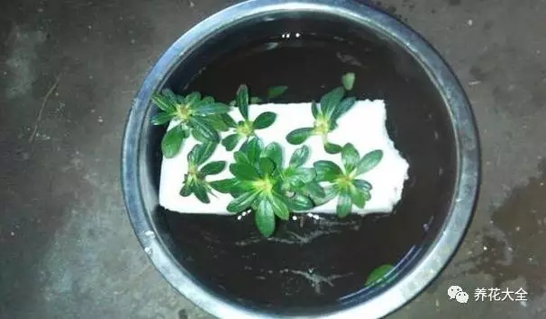 该花的钱一分不能少