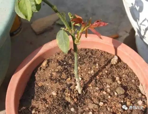 该花的钱一分不能少