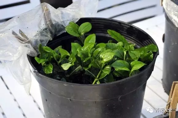 该花的钱一分不能少