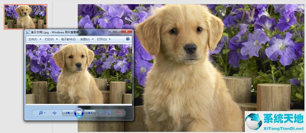 ppt的背景图片如何导出?(如何将ppt的背景图片导出来)