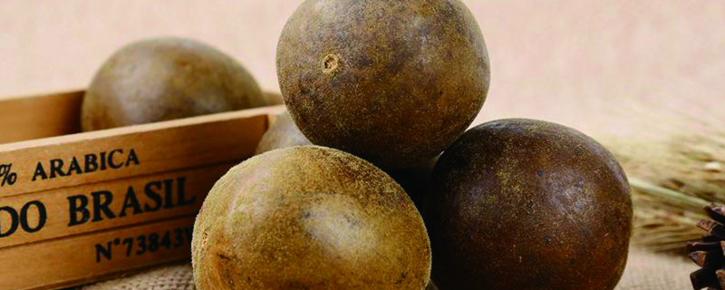 罗汉果怎么泡水喝有什么功效与禁忌(罗汉果怎么泡水喝吗)