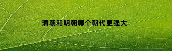清朝和明朝哪个朝代更强大(清朝跟明朝哪个更强大)